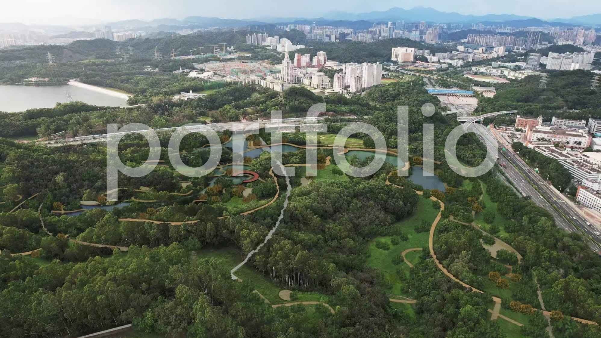 龙岗大运片区主题路径设计